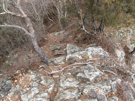 20140102hike (123)